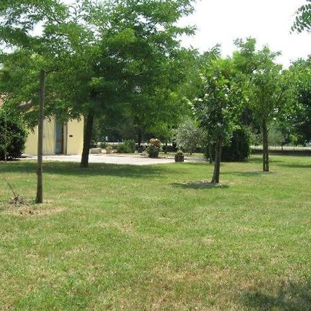 Al Parco Bed and Breakfast Ravenna Exteriör bild